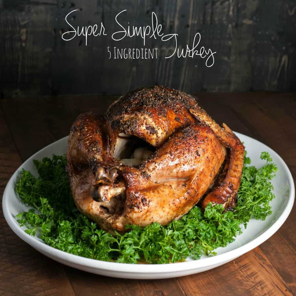 Super Simple 5 Ingredient Turkey - Sweetphi