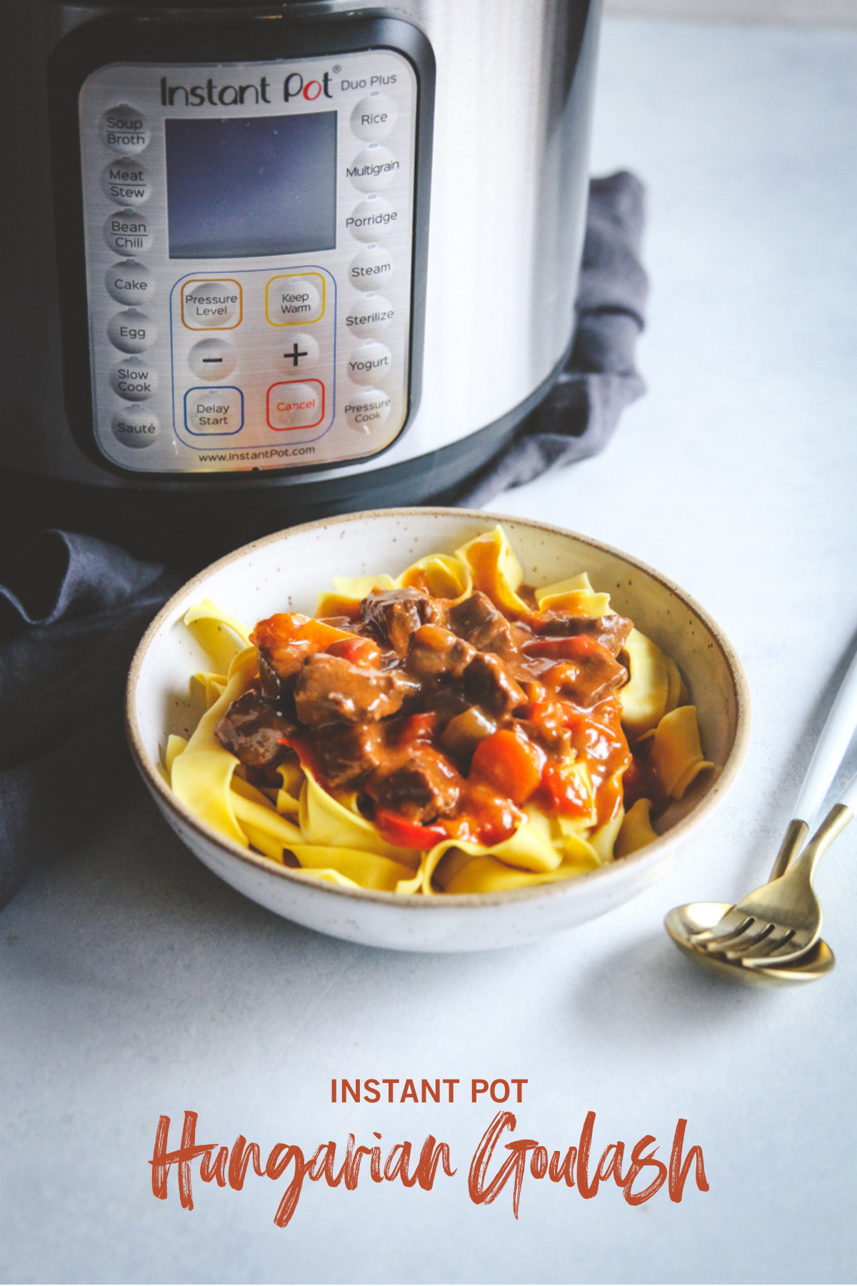 Bowl of Goulash with Instant Pot