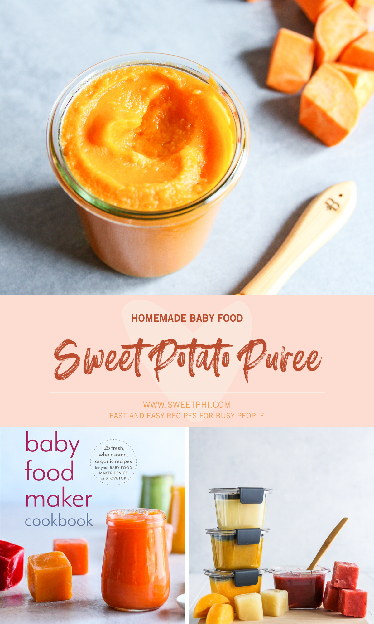 Homemade Baby Food Recipes Cookbook