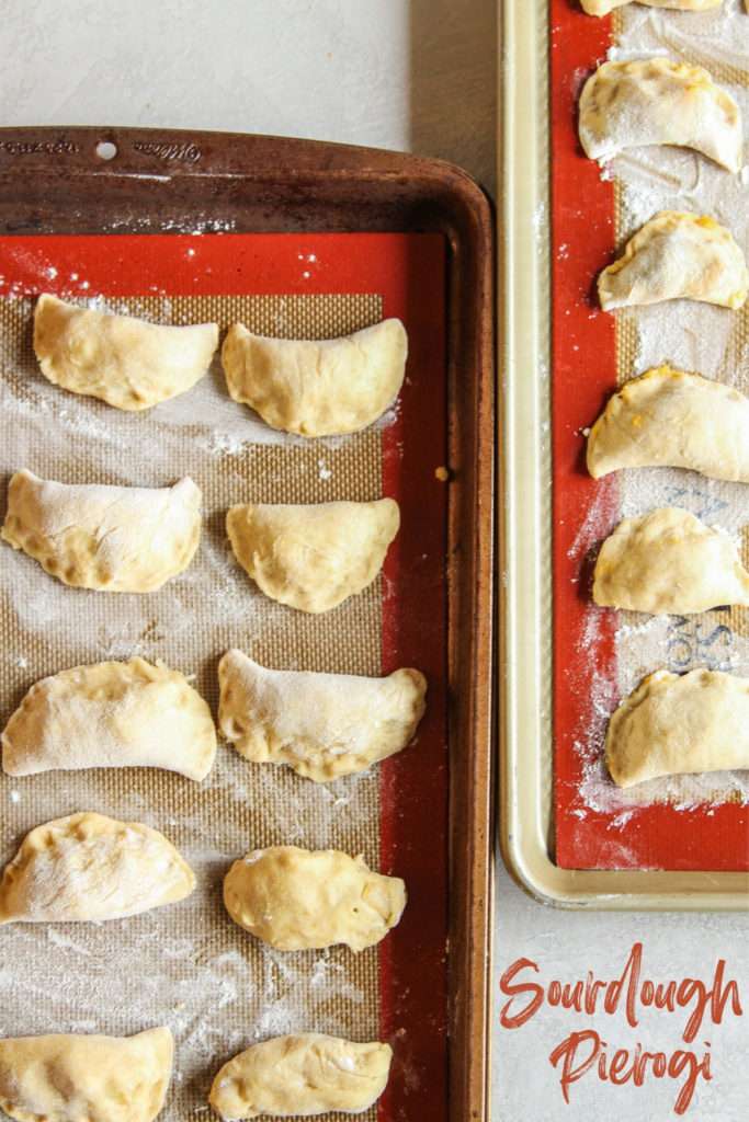 Sourdough pierogi recipe